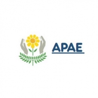 Associação de Pais e Alunos Especiais APAE - Curitiba - PR